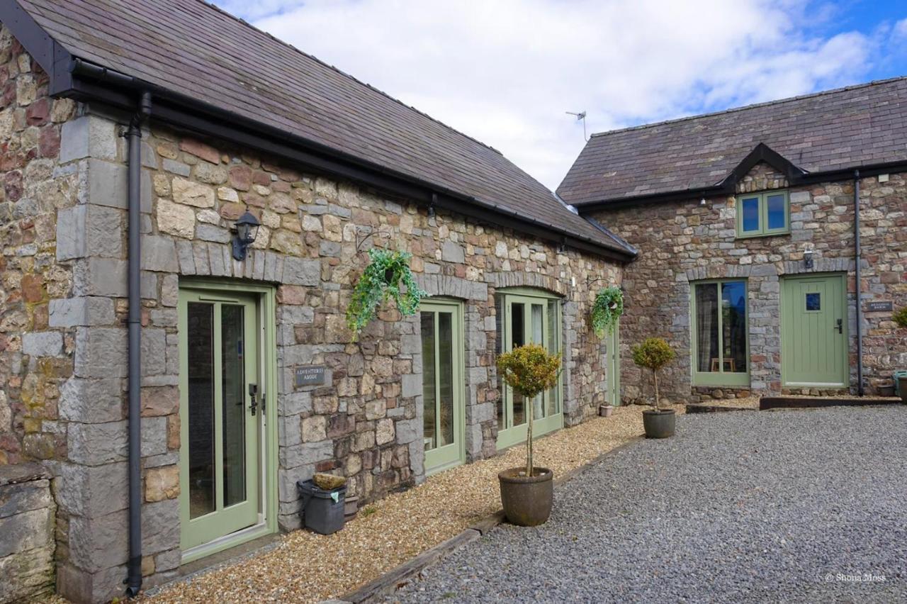 Villa Rhiwddu Barns Llangadog Esterno foto